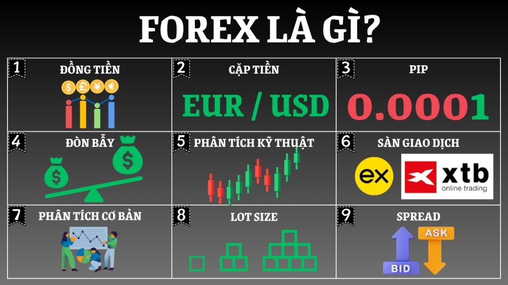 Forex là gì? Kiến thức cơ bản từ A-Z dành cho người mới bắt đầu giao&nbsp;dịch✔️